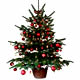 �rbol de navidad