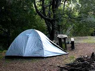 Tienda de camping en zona con �rboles