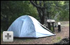 Tienda de camping al lado de �rboles