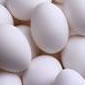 huevos
