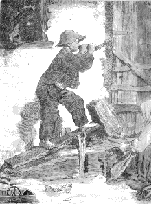 Bat&aacute;n